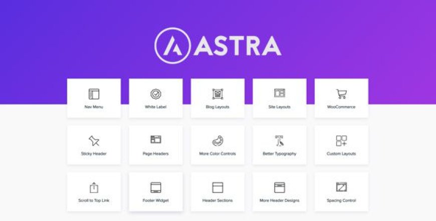 Astra Pro Addon 4.11.2 – WordPress Theme for Any Website