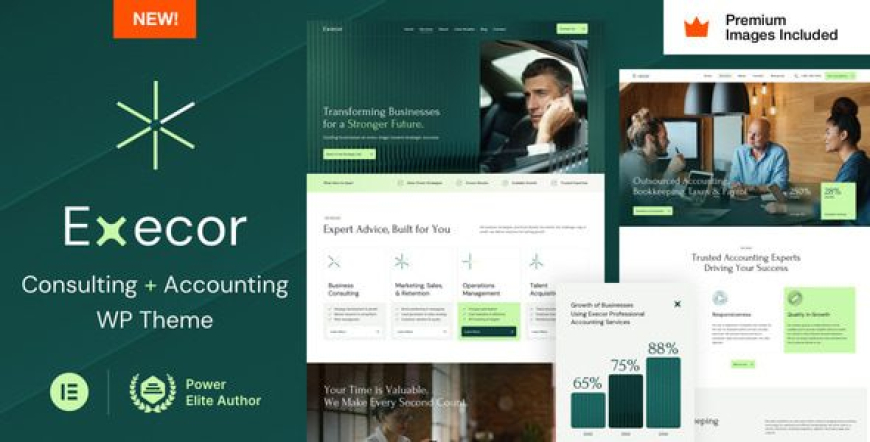 Execor v8 – Accounting and Management Consulting WordPress Theme