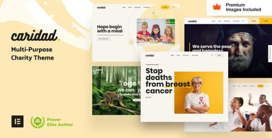 Caridad v23 - Charity WordPress Theme