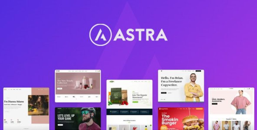 Astra Theme v4.11.3 + Portfolio v1.13.1 – Most Popular WordPress Theme