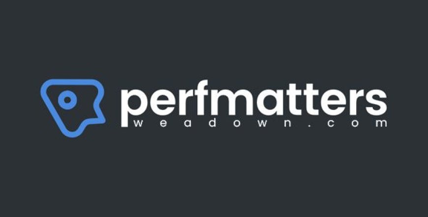Perfmatters v2.4.6 – Lightweight WordPress Performance Plugin