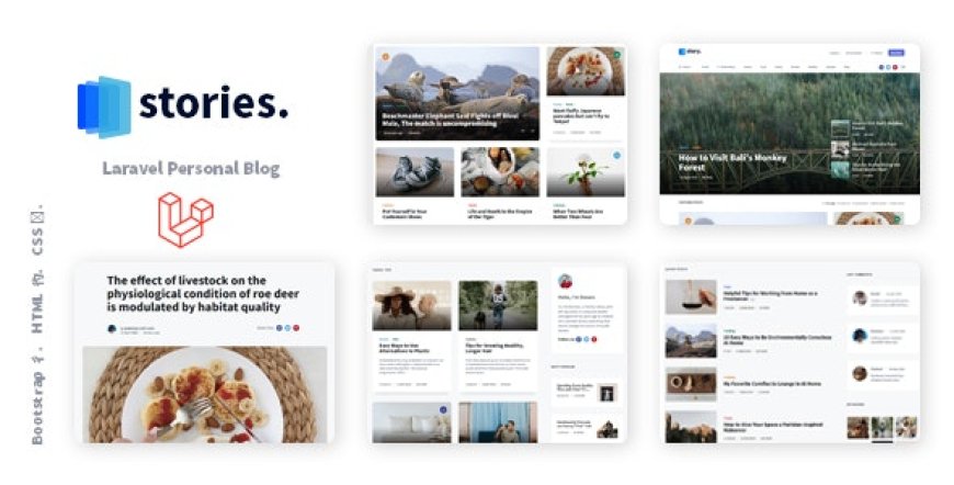 Stories v1.36.6 – Laravel Creative Multilingual Blog