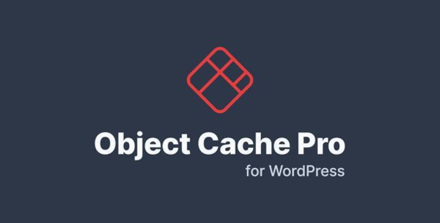 Redis Object Cache Pro v1.24.2