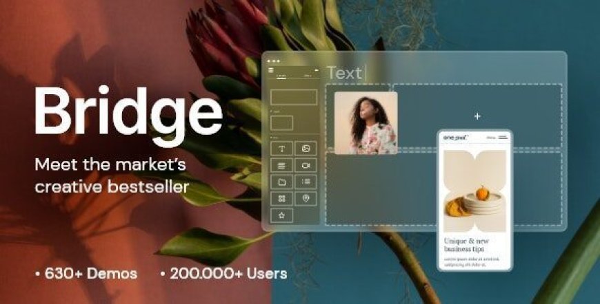 Bridge v30.8.8 - Creative Elementor and WooCommerce WordPress Theme