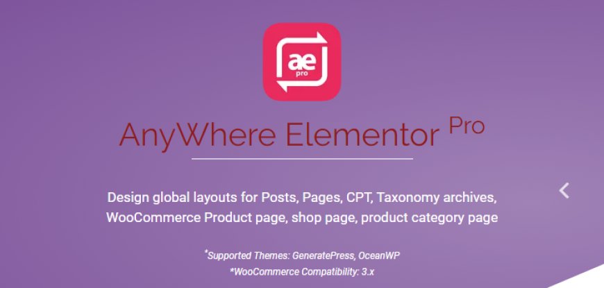 AnyWhere Elementor Pro v2.29.1