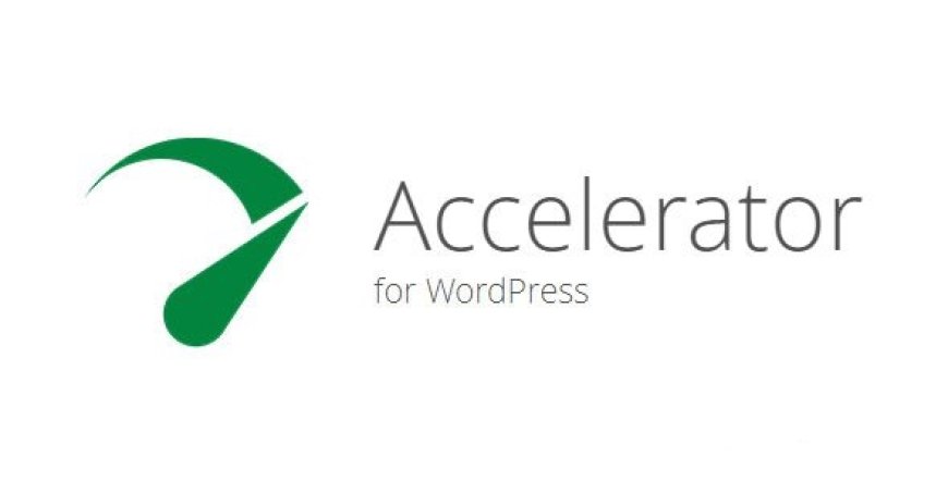 Seraphinite Accelerator v2.27.33