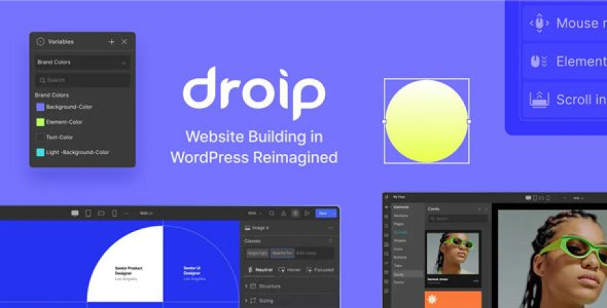 Droip v2.2.1 – No-Code WordPress Site Builder