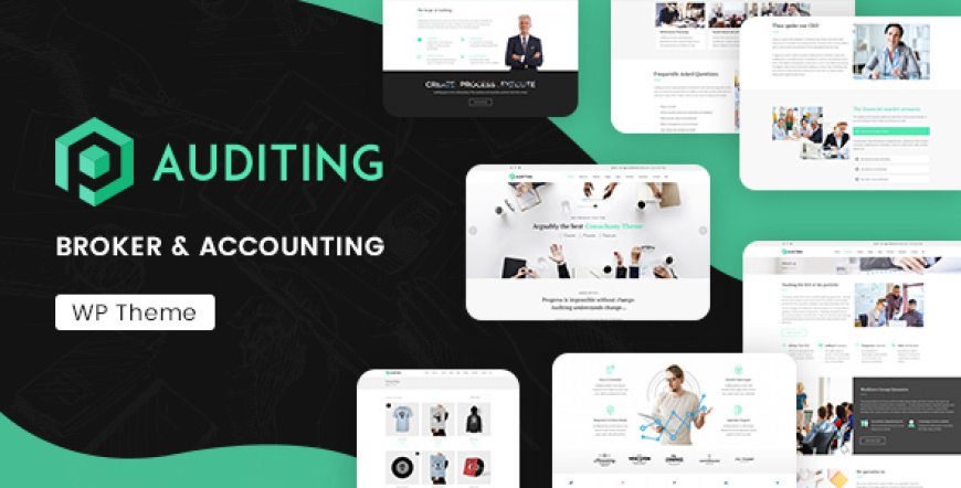Auditing v3.3 | Accounting Consultant, Finance WordPress Theme