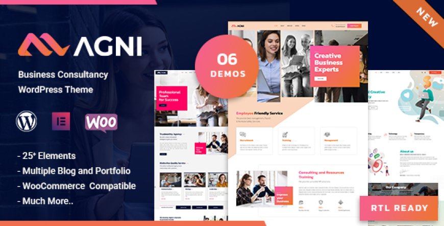 Agni v1.1.8 - Consulting Business