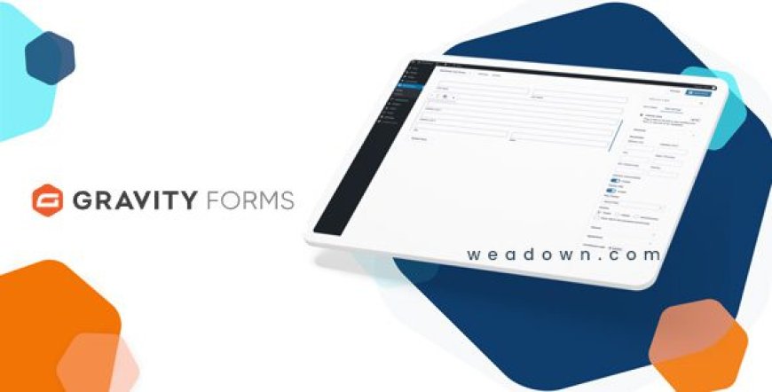 Gravity Forms v2.9.11