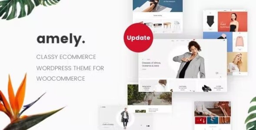 Amely v3.2.2 - Fashion Shop WordPress Theme for WooCommerce