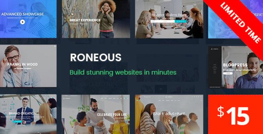 Roneous v2.1.3 - Creative Multi-Purpose WordPress Theme
