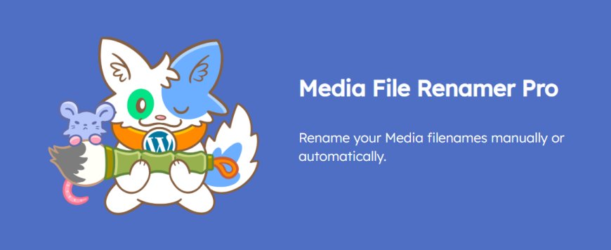 Media File Renamer Pro v6.0.9