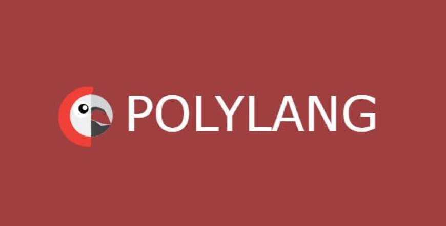 Polylang Pro v3.7.3 – WordPress Multilingual Plugin