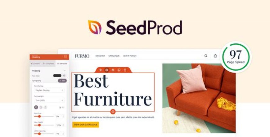 SeedProd Pro v6.18.17 – Drag & Drop WordPress Website Builder