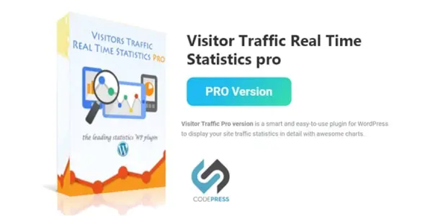 Visitor Traffic Real Time Statistics Pro v11.1